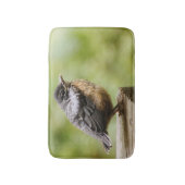 Tapis De Bain Jeune Robin (Devant (Vertical))