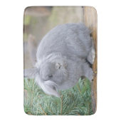 Tapis De Bain Joli lapin gris (devant Vertical)