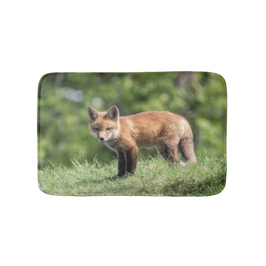 Tapis De Bain Kit de Fox rouge (Devant)
