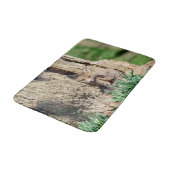 Tapis De Bain Kit Fox dans la vallée de l'Hudson (Angle)