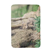 Tapis De Bain Kit Fox dans la vallée de l'Hudson (Devant (Vertical))