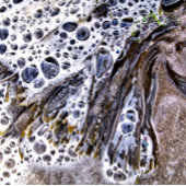 TAPIS DE BAIN LA PLAGE, ALGUES, EAU ET SABLE