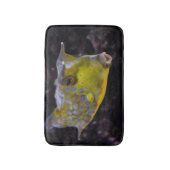 Tapis De Bain Lactoria cornuta (Devant (Vertical))