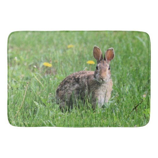 Tapis De Bain Lapin (Devant)