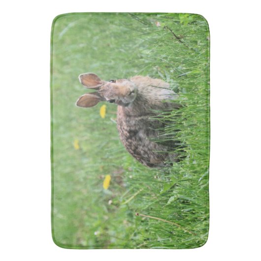 Tapis De Bain Lapin (devant Vertical)