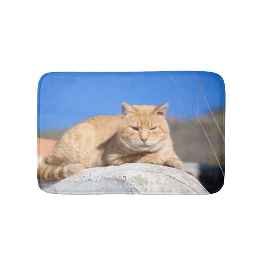 Tapis De Bain Lazy cat (Devant)