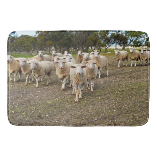 Tapis De Bain Les Moutons Marchent, (Devant)