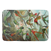 Tapis De Bain Magnifique Ernst Haeckel Hummingbirds (Devant)