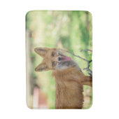 Tapis De Bain Mama Fox dans la vallée de l'Hudson (Devant (Vertical))