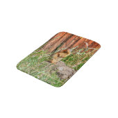 Tapis De Bain Marmotte à ventre jaune par une grange Photo de la (Angle)