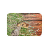 Tapis De Bain Marmotte à ventre jaune par une grange Photo de la (Devant)