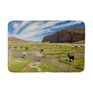 Tapis De Bain Montagnes Andes boliviennes