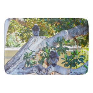 Tapis De Bain Noir Langur Singes Manger, Mousse Mémoire Bathmat
