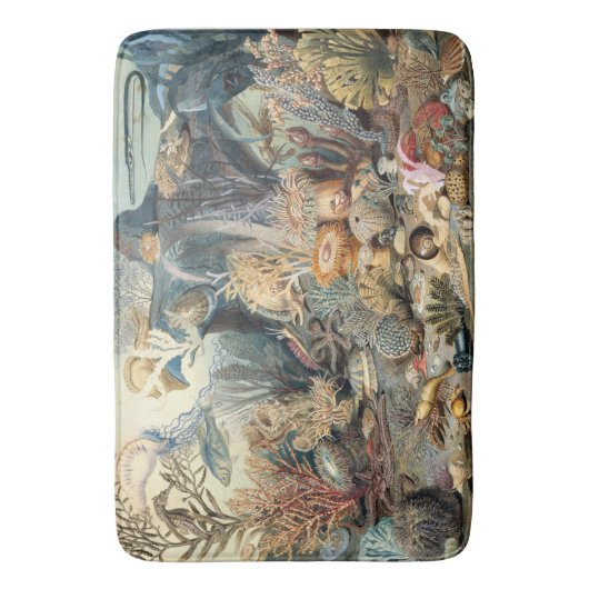 Tapis De Bain Ocean (devant Vertical)