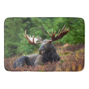 Tapis De Bain Oie