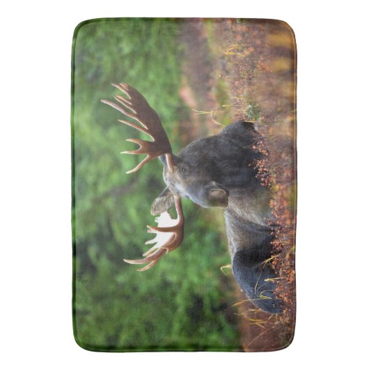 Tapis De Bain Oie (devant Vertical)