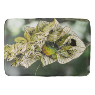 Tapis De Bain Oiseau vert, Euphonie Belize Photographie