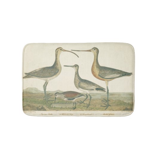Tapis De Bain Oiseaux de marais Courlis Oiseaux (Devant)