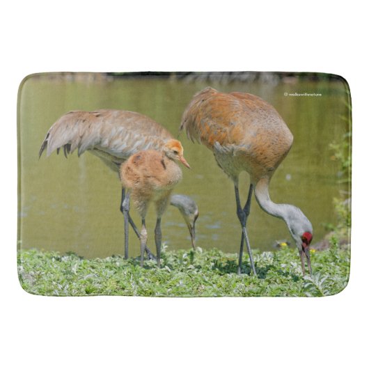 Tapis De Bain Parents de grue de Sandhill et poussins (Devant)