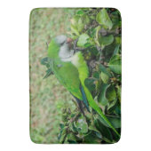 Tapis De Bain Perroquet vert (devant Vertical)