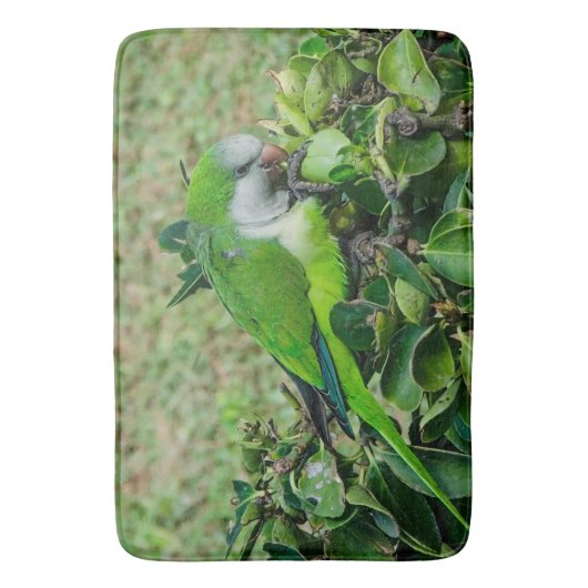 Tapis De Bain Perroquet vert (devant Vertical)