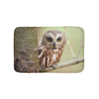 Petit hibou de bébé | Ontarios