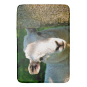 TAPIS DE BAIN PETIT MOQUETTE (devant Vertical)