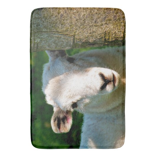 TAPIS DE BAIN PETIT MOQUETTE (devant Vertical)