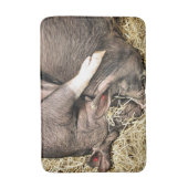 TAPIS DE BAIN PETITS PIÈCES FRAÎCHES (Devant (Vertical))