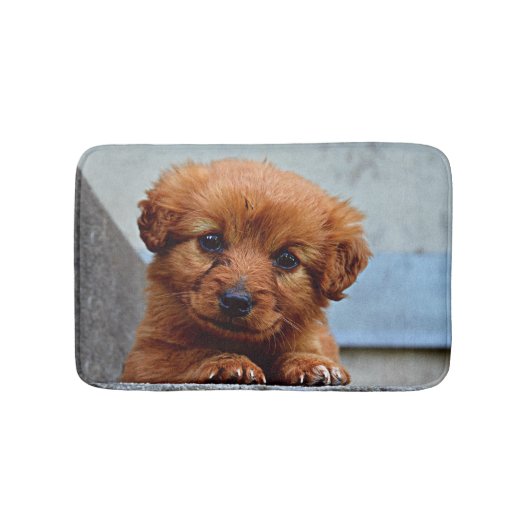 Tapis De Bain Photo Brown de portrait de chiot (Devant)