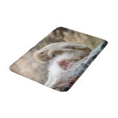 Tapis De Bain Photographie animale, singe macaque (Angle)