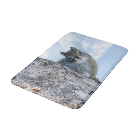 Tapis De Bain Photographie d'animal, Écureuil curieux (Angle)