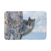Tapis De Bain Photographie d'animal, Écureuil curieux (Devant)