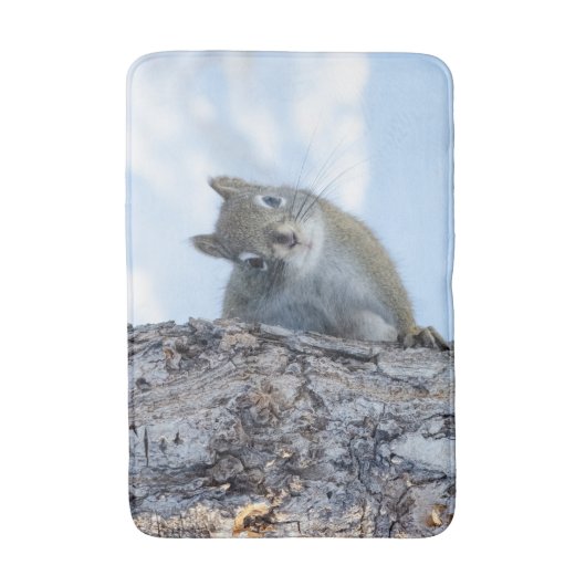 Tapis De Bain Photographie d'animal, Écureuil curieux (Devant (Vertical))