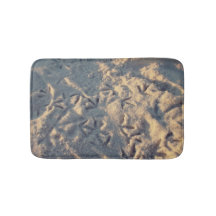 Pieds de sable goéland