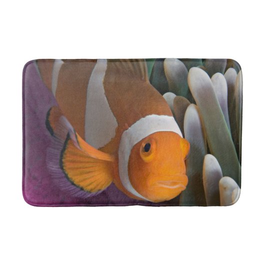 Tapis De Bain Poisson clown occidental (Devant)