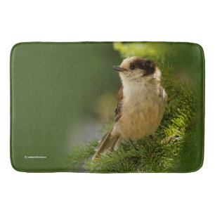 Tapis De Bain Profil d'une Jay gris mou / Whiskeyjack