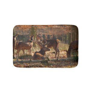 Tapis De Bain Red Deers Dans Le Bois D'Autum