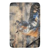 Tapis De Bain Regal (devant Vertical)