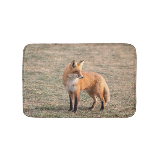 Tapis De Bain Renard rouge dans un champ (Devant)