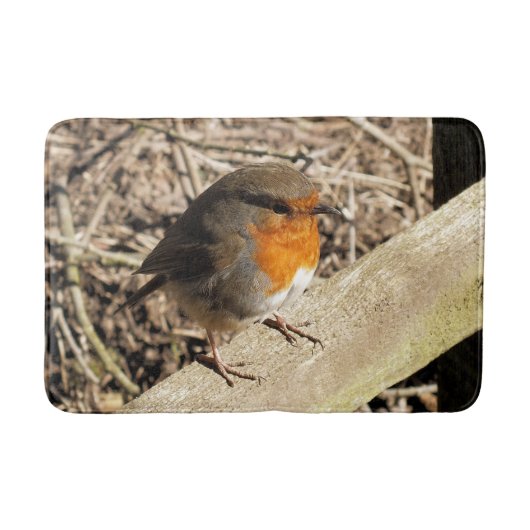 TAPIS DE BAIN ROBIN (Devant)