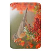 Tapis De Bain Robin américain avec Pyracantha Pomme (devant Vertical)