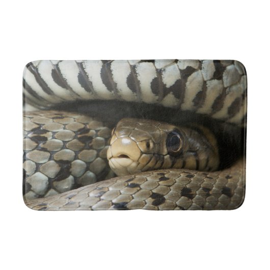 Tapis De Bain Serpent (Devant)