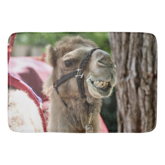 Tapis De Bain Sourire (Devant)