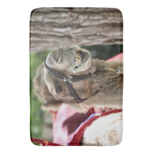 Tapis De Bain Sourire (devant Vertical)