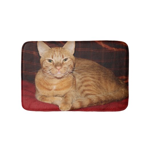 Tapis De Bain Sourire orange de chat tigré de rouille (Devant)