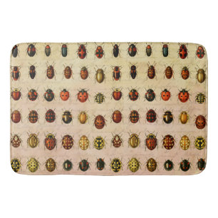 Tapis De Bain Spécimen de coccinelle vintage Motif Insecte antiq
