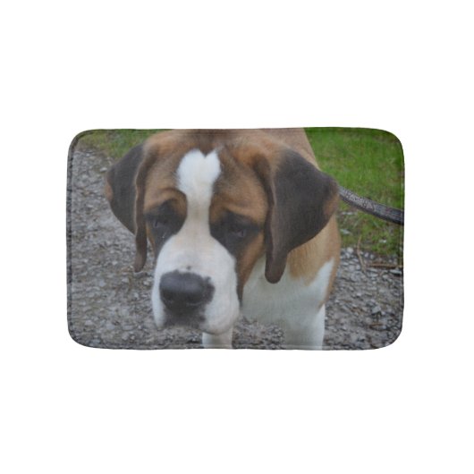 Tapis De Bain St Bernard adorable (Devant)
