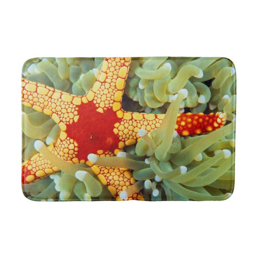 Tapis De Bain Star de la mer rouge et jaune (Devant)