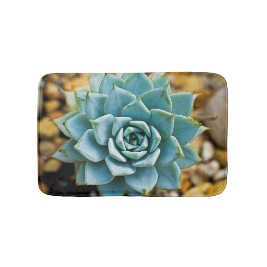 Tapis De Bain Succulente (Devant)